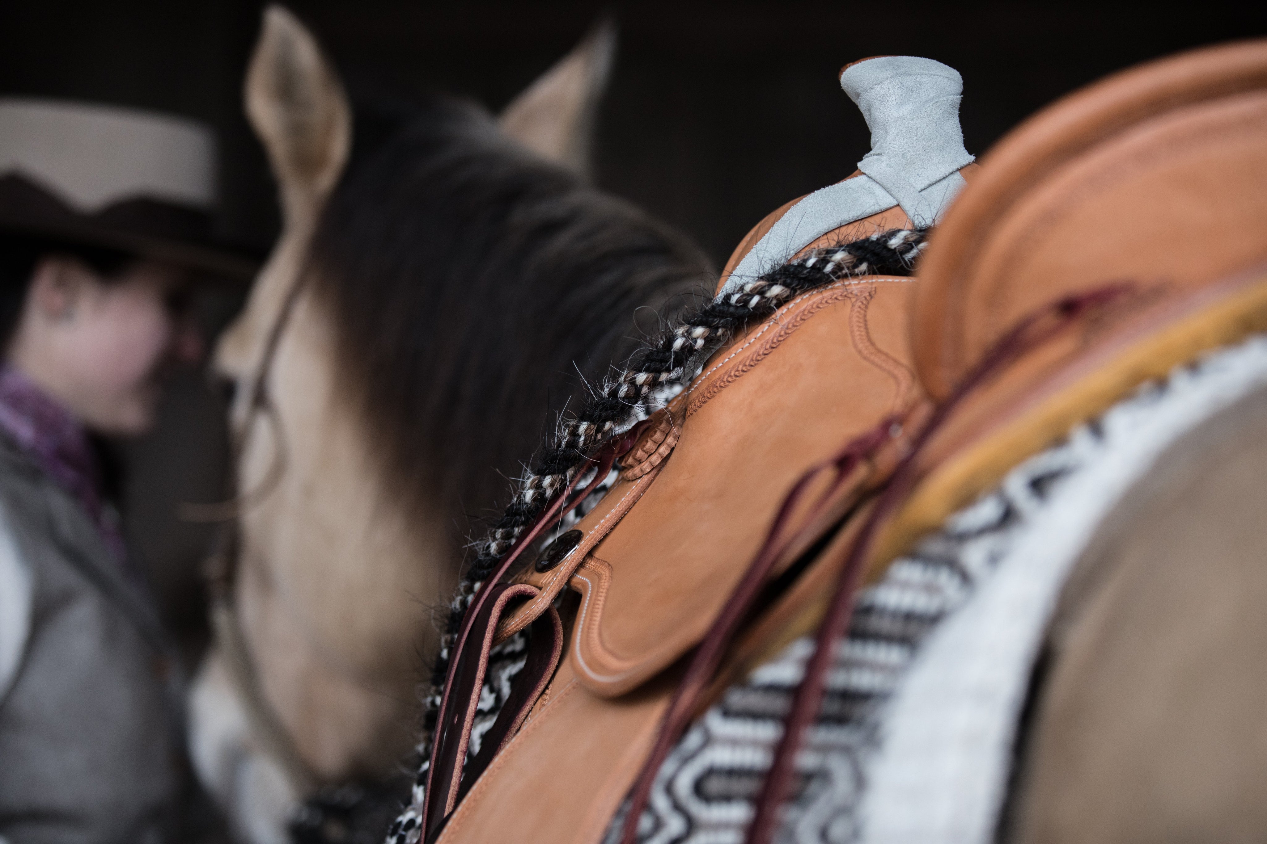 Western FlexFit