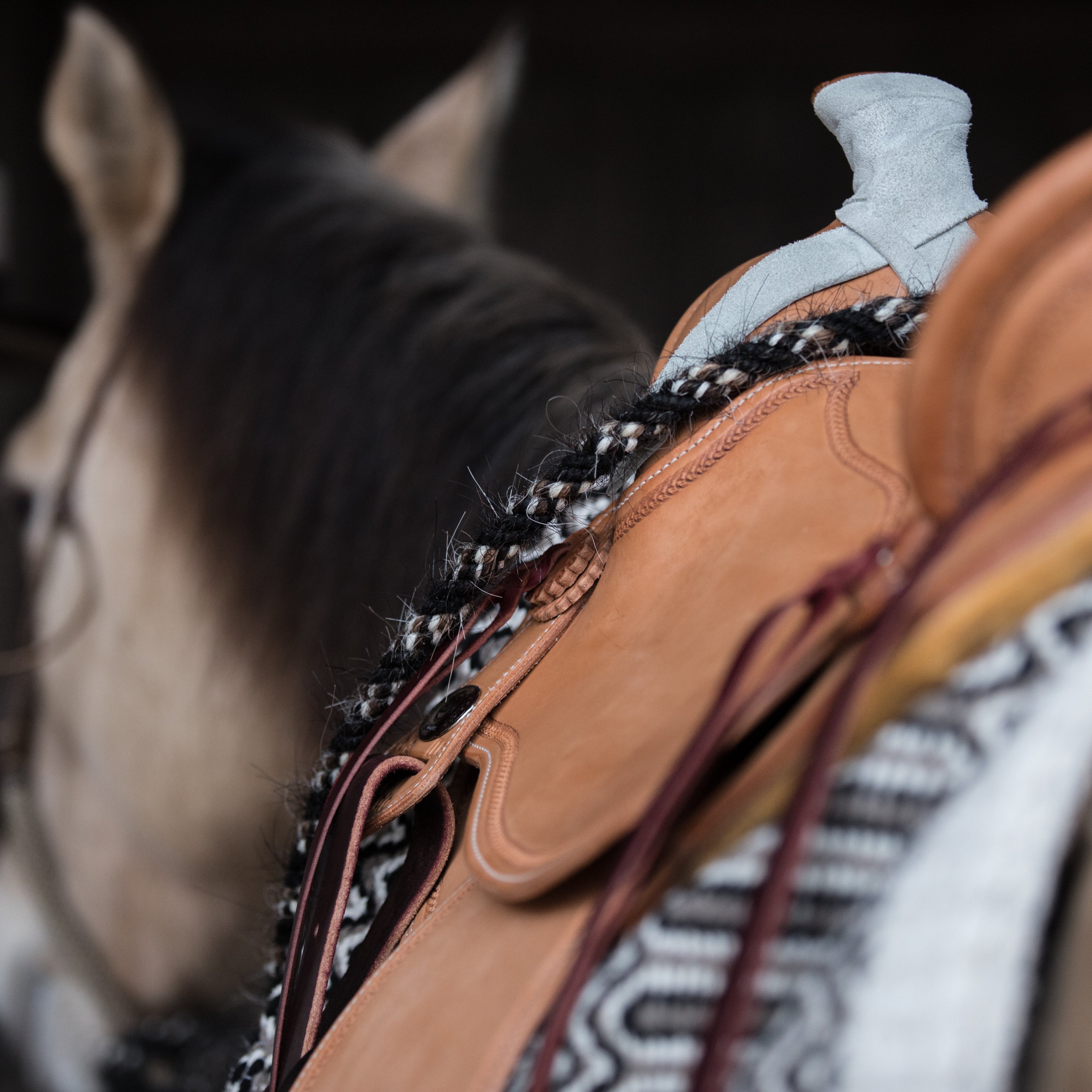 Western FlexFit