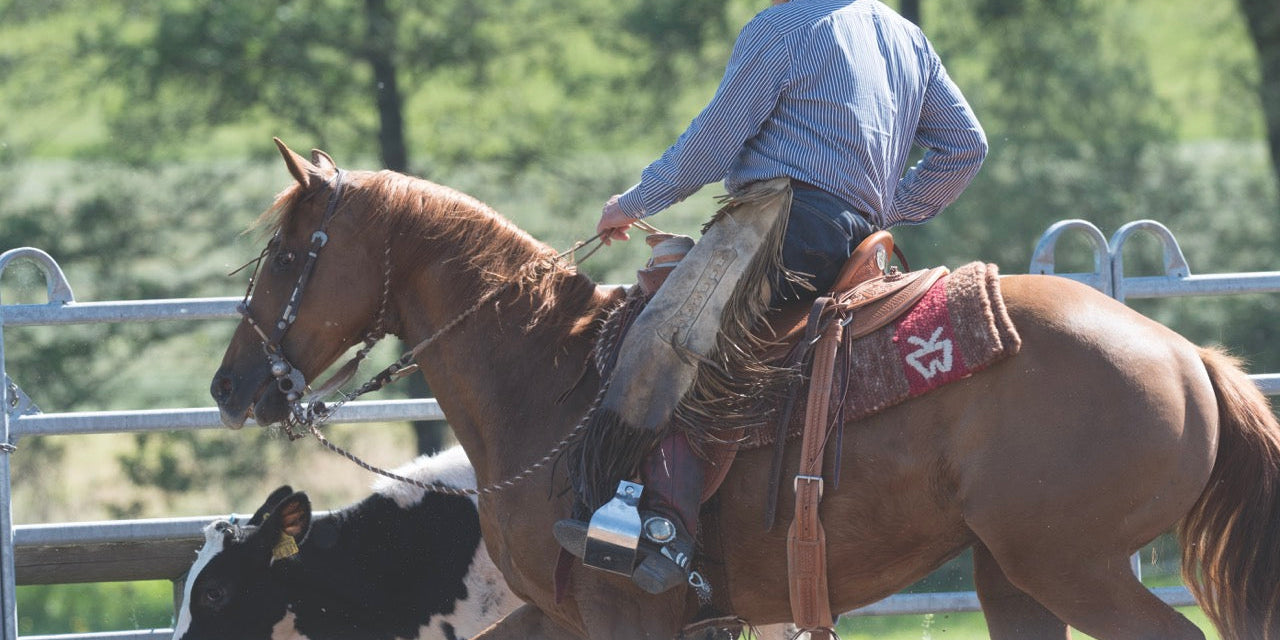 Western Accessories
