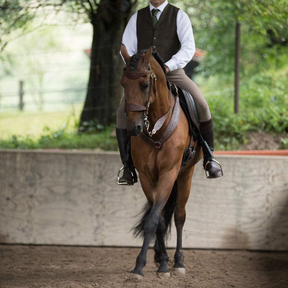 English Allround & Baroque Saddles