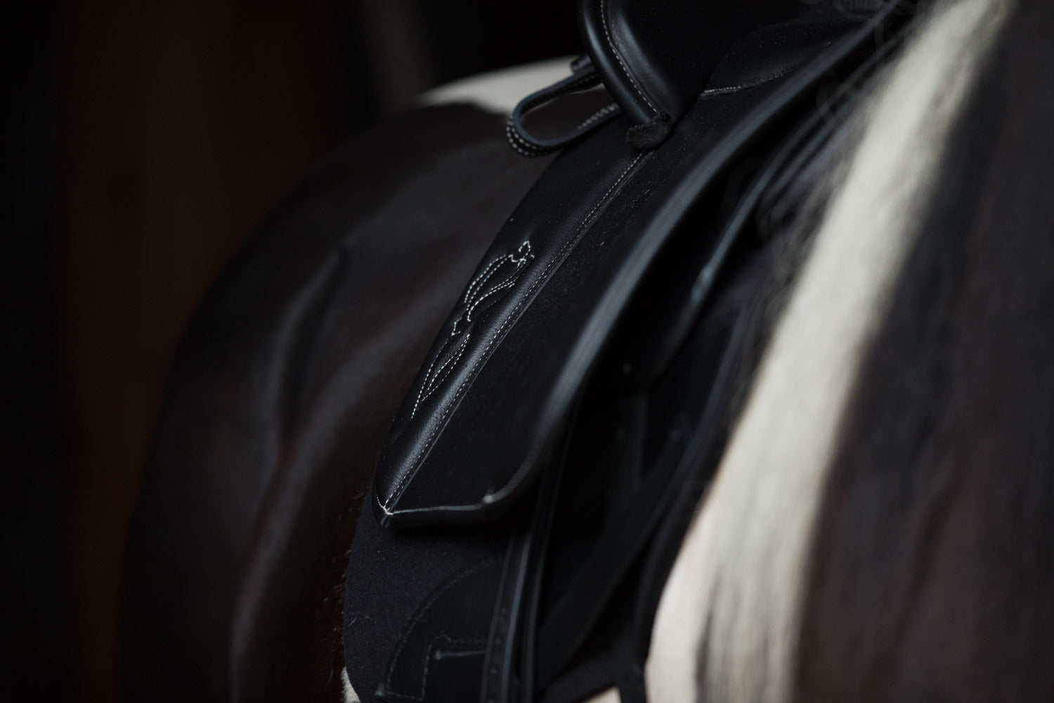 English Allround & Baroque Saddles