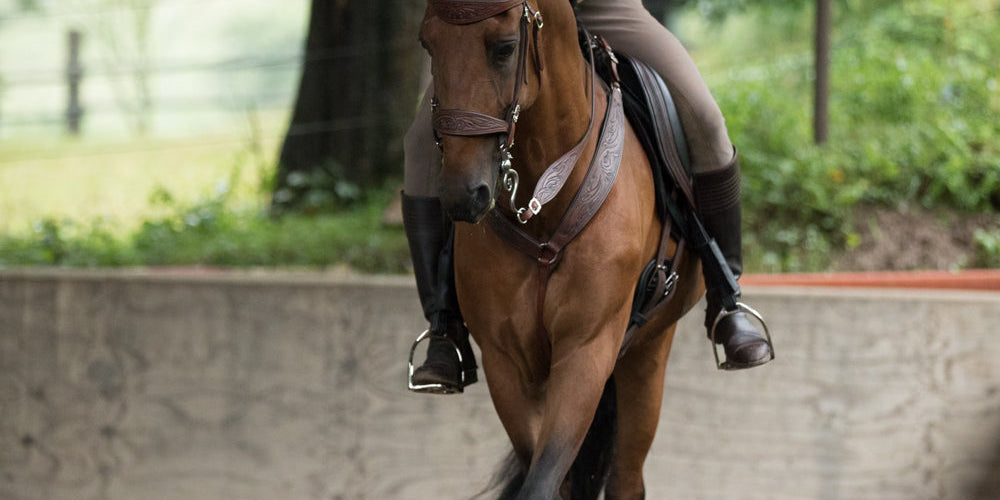English Allround & Baroque Saddles