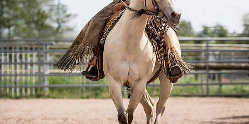Western Saddles