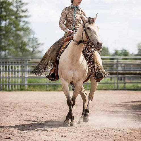Western Saddles