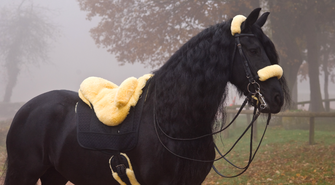 Christ Sheepskin