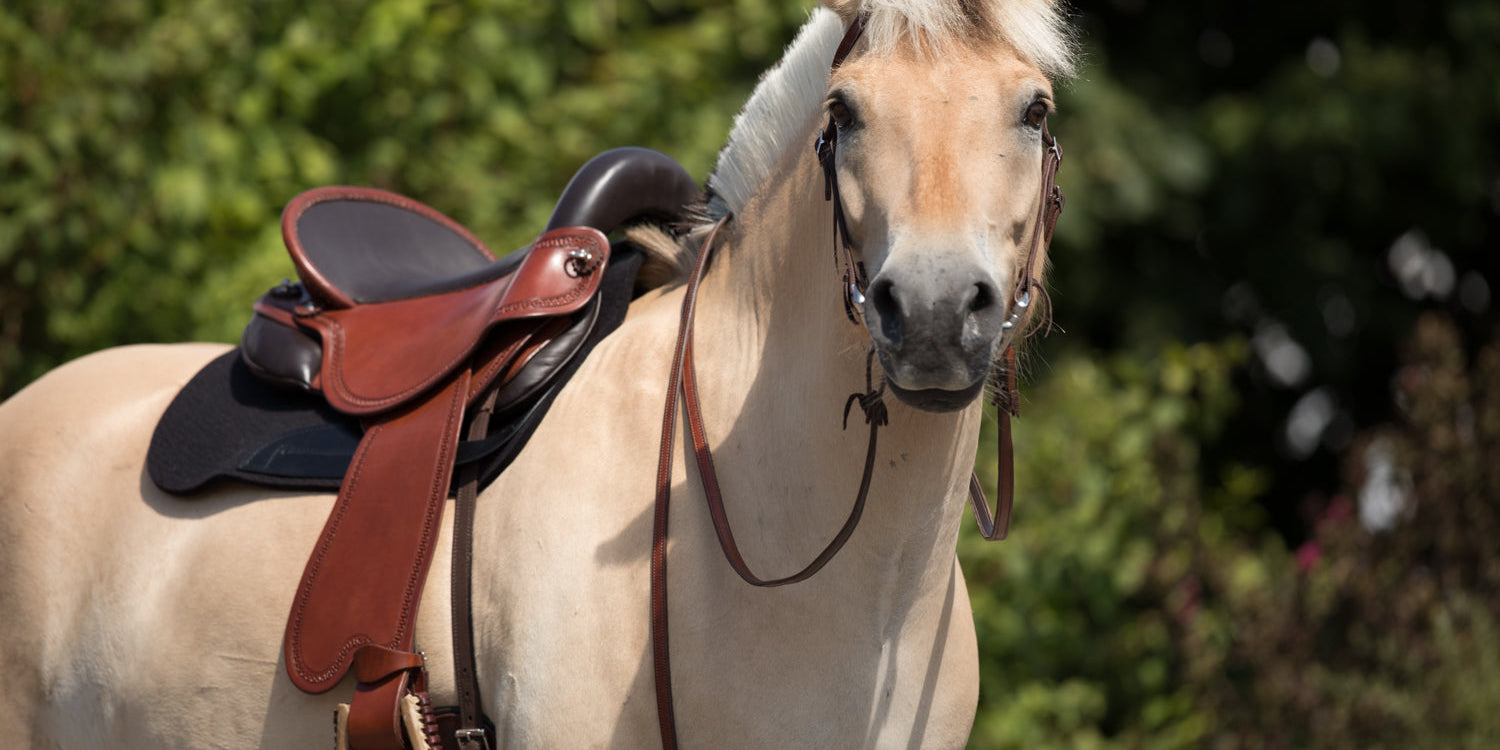 Quantum Saddles