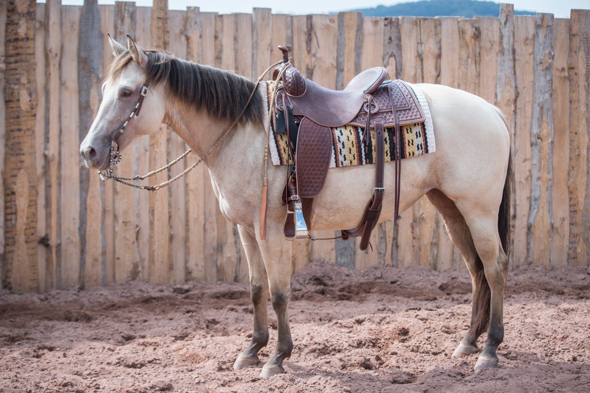 Western Saddles (Non-Adjustable Models)