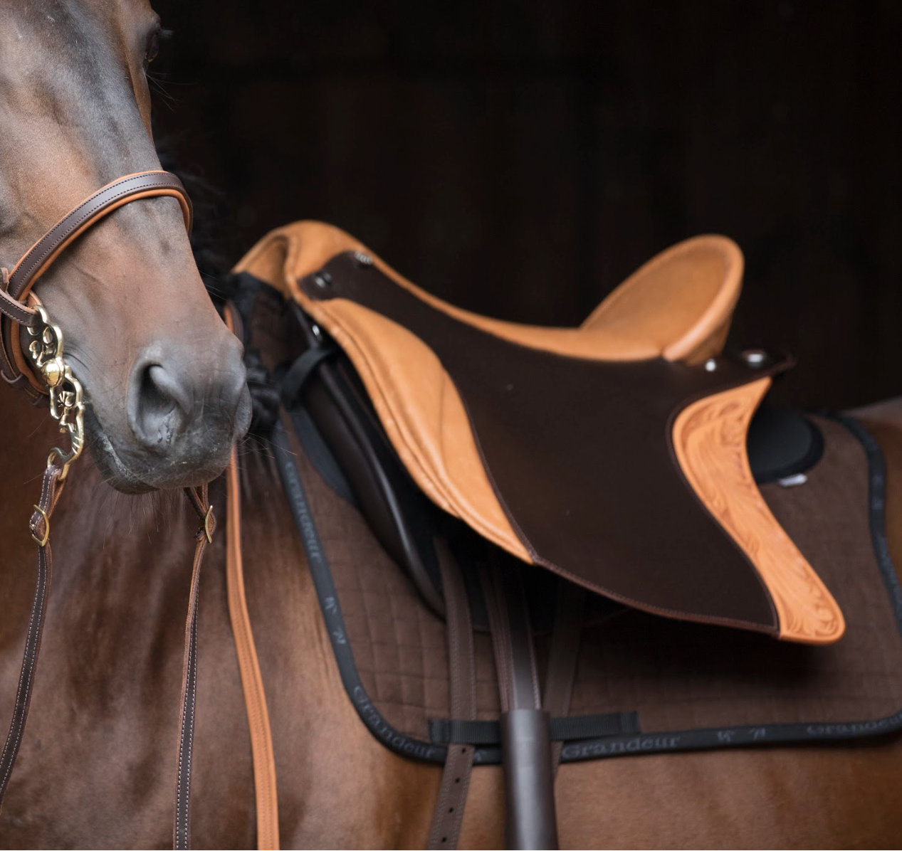 Baroque, NovaFlex, Quantum &amp; Flex Fit Saddles